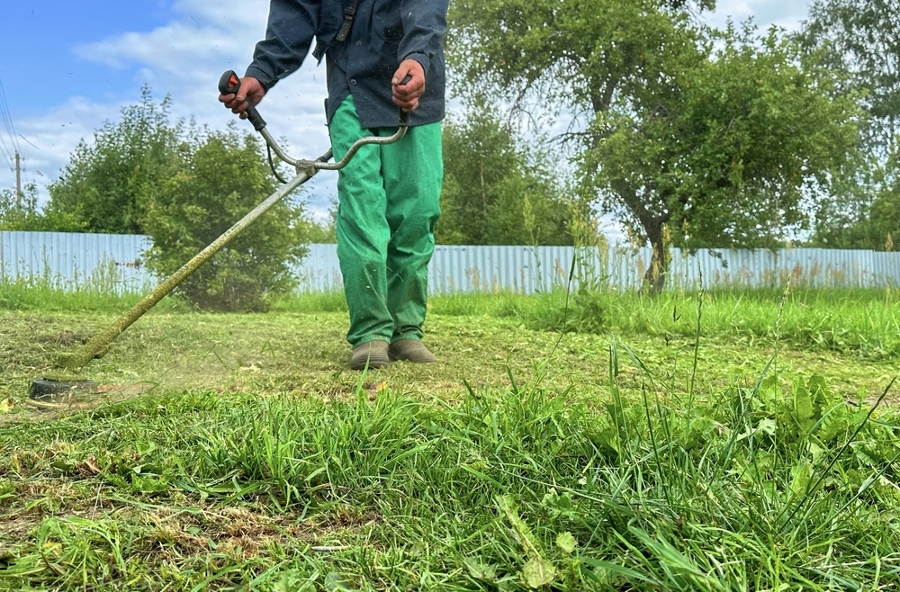 Espaços Verdes